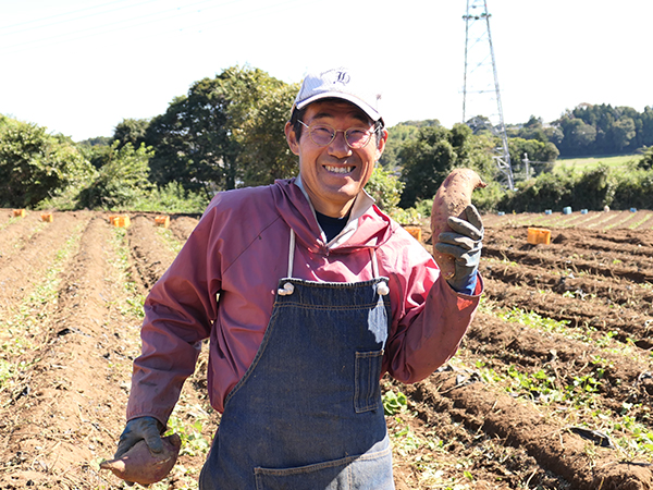 新物紅はるか平干しセット